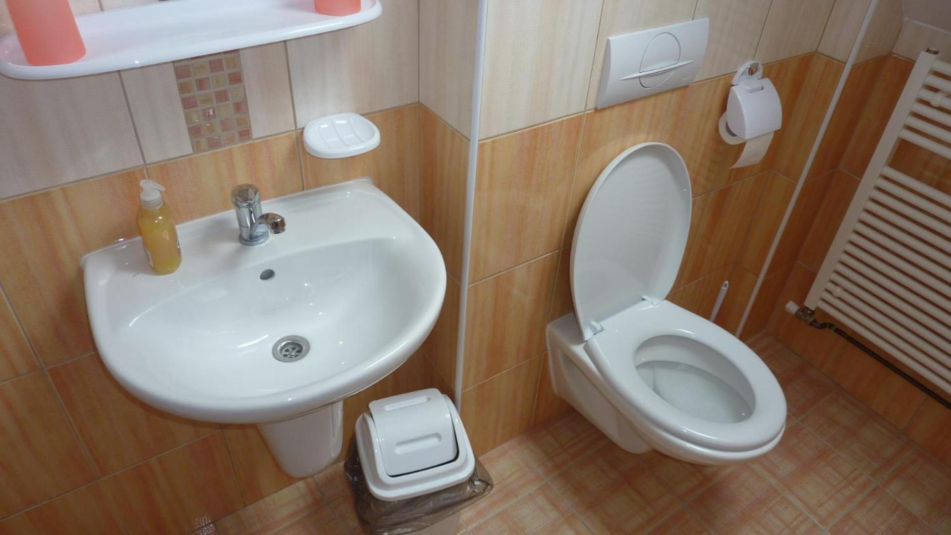 Penzion Slavka Tremosnice Ngoại thất bức ảnh